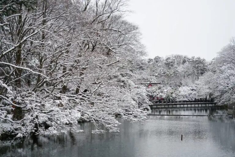 感性は変わりゆく